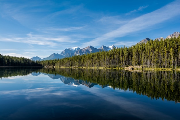 Mountain lake. beautiful lake in the mountains