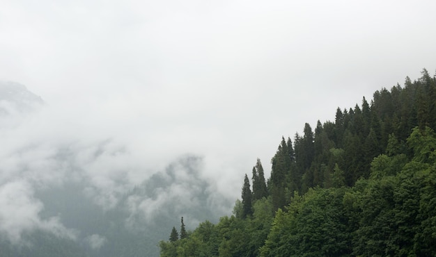 Mountain lake in the fog