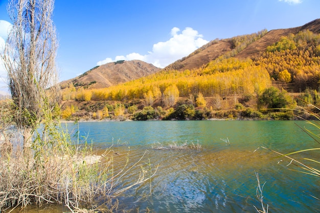 Mountain lake with yellow trees Autumn landscape Kyrgyzstan AkTuz gorge Natural background