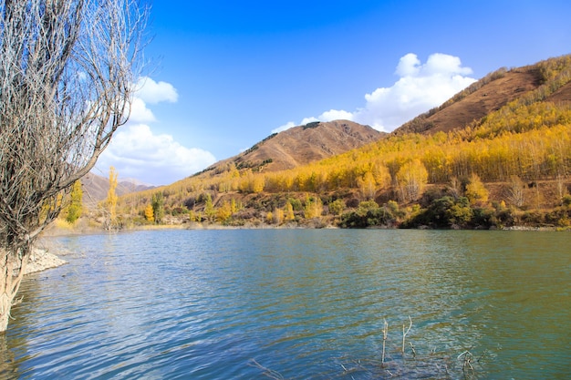 Mountain lake with yellow trees Autumn landscape Kyrgyzstan AkTuz gorge Natural background