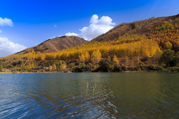 Mountain lake with yellow trees Autumn landscape Kyrgyzstan AkTuz gorge Natural background