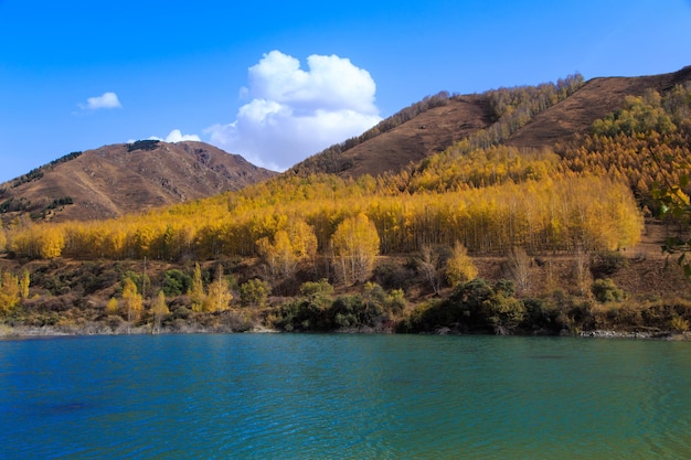 Mountain lake with yellow trees Autumn landscape Kyrgyzstan AkTuz gorge Natural background