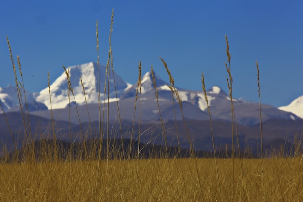 mountain landscape of the cliff in the Himalayas