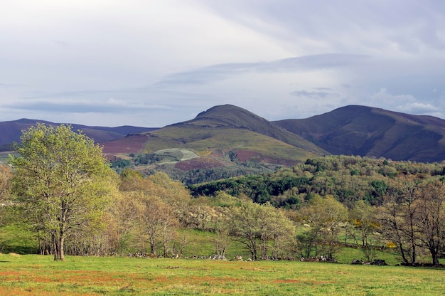 Mountain landscape on cloudy day