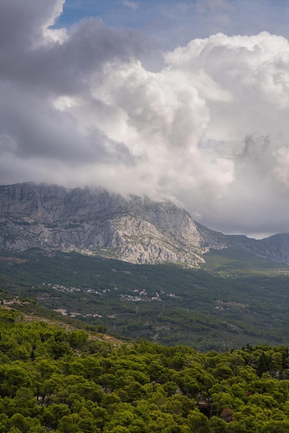 Mountain landscape A huge white cloud descended over high cliffs Dense forest at the foot of the mou