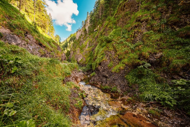 Mountain landscape in mountains Juranova dolina valley in The Western Tatras national park Slovakia oravice Orava region