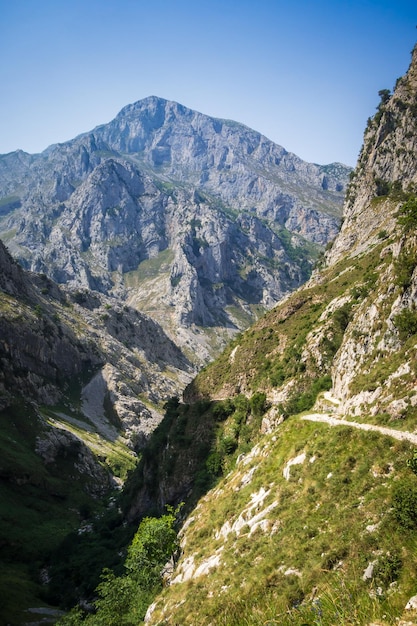 Mountain landscape Picos de Europa Asturias Spain