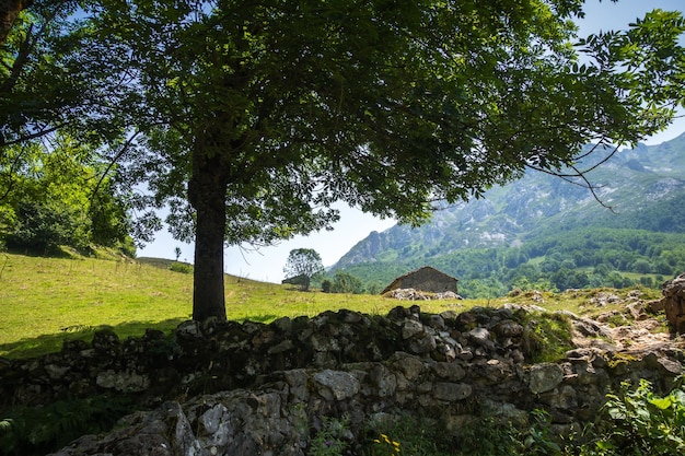 Mountain landscape and sheepfold Picos de Europa Asturias Spain