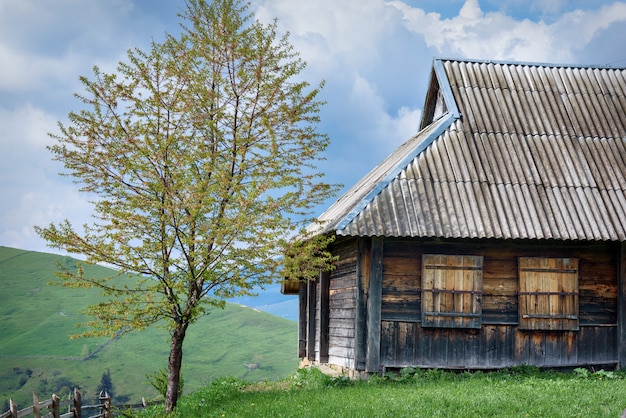 Mountain landscape in spring summer village in the mountains house