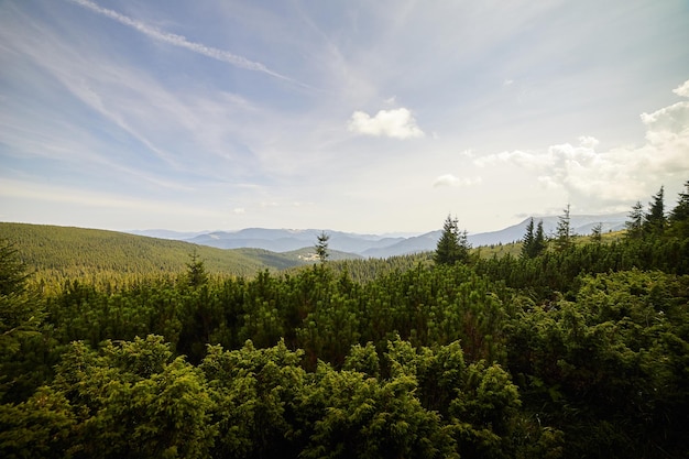 Mountain landscape in Ukrainian Carpathians in summer