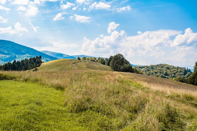 Photo mountain landscape view green hills near mountains and forests summer day the sky with clouds