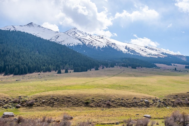 Mountain landscape view at spring time in Kyrgyzstan