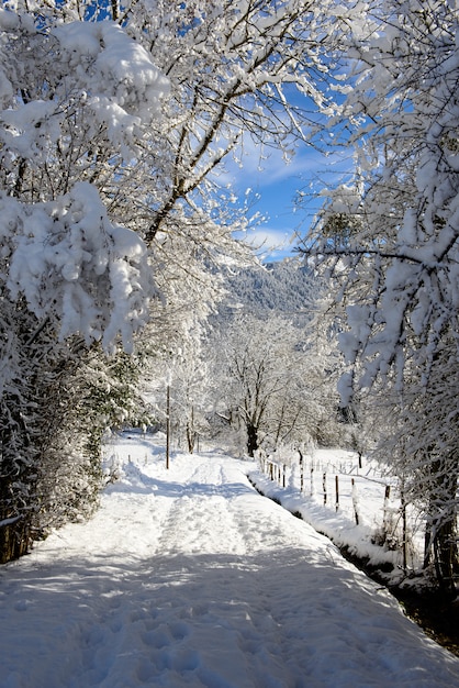 Mountain landscape in winter with snow