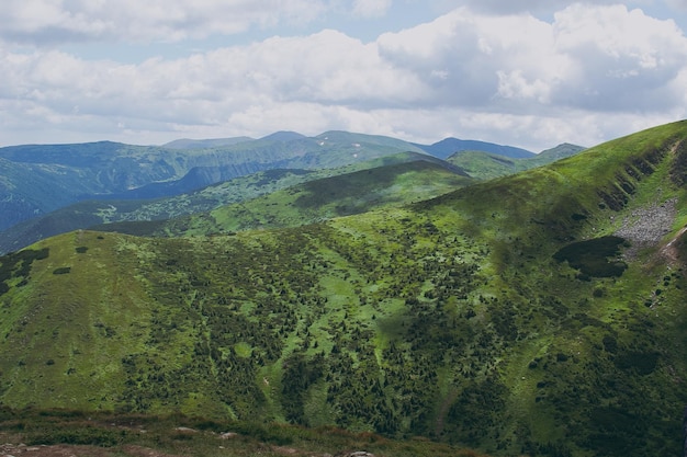 Mountain landscape with clouds wildlife