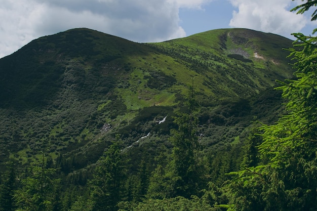 Mountain landscape with clouds wildlife