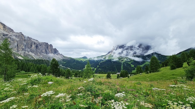 A mountain landscape with a green field and flowers in the foreground and a mountain in the background.