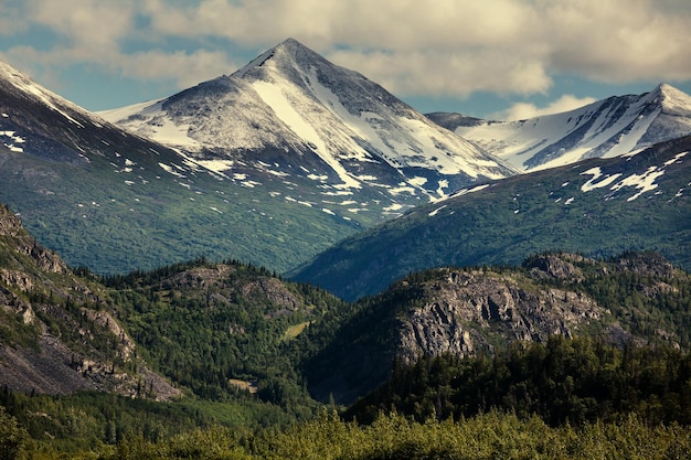 Mountain meadow in Alaska USA