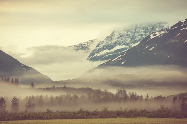 Mountain meadow in Alaska USA