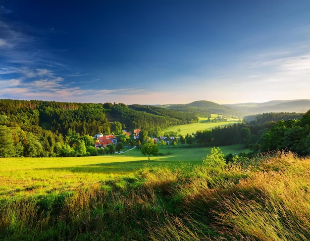 Photo mountain meadow in morning light