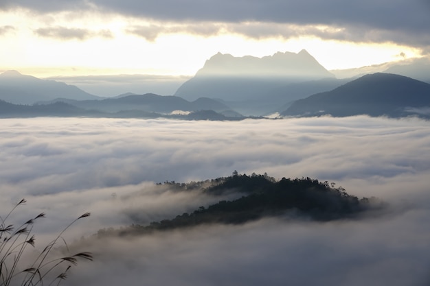 Mountain morning