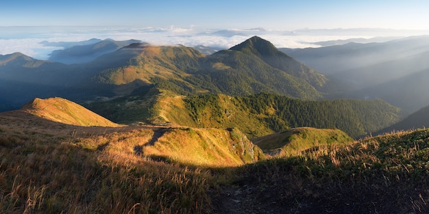 Mountain panorama. Morning autumn landscape. First rays of sun on the hills. Carpathians, Ukraine, Europe