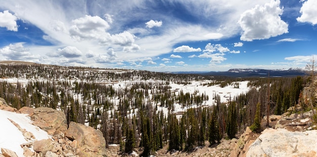 Mountain pass in uintawasatchcache national forest utah