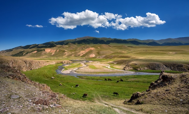 Mountain pasture with a river