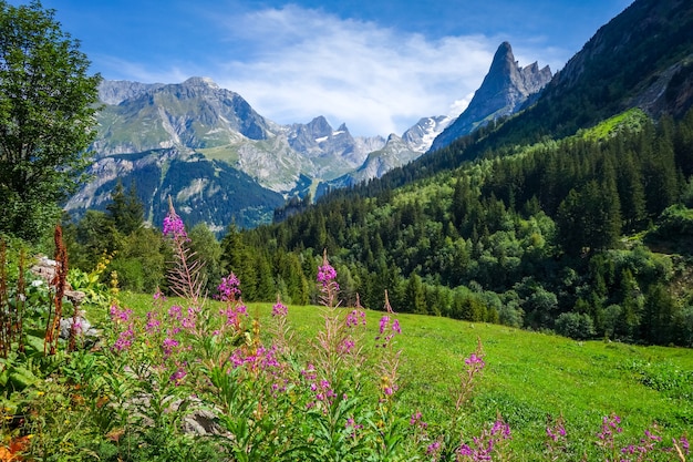 Mountain and pastures landscape in Pralognan la Vanoise