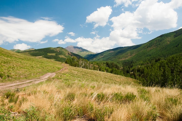 Mountain path in Crested Butte, Colorado