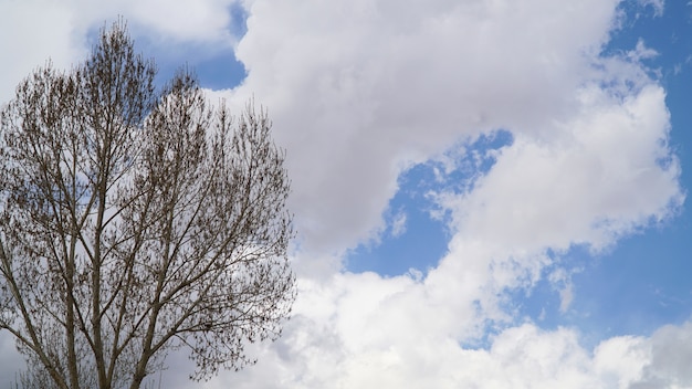 Photo mountain peak with some clouds and clear blue sky