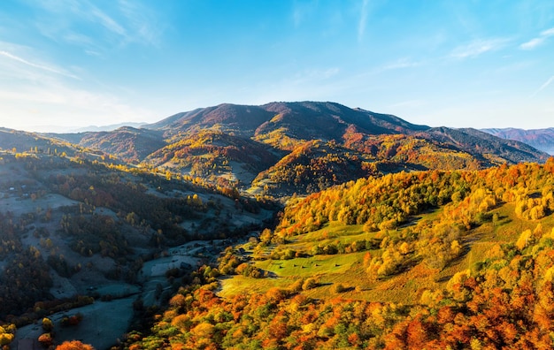 Mountain peaks with terracotta forests under bright sunlight