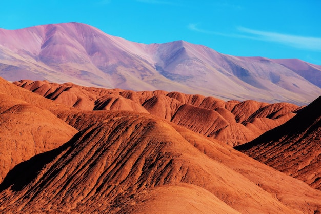 Mountain plateau La Puna, Northern Argentina