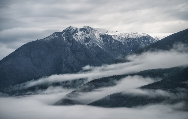 Mountain range above the clouds green mountains in dense fog gloomy dark landscape birdseye view