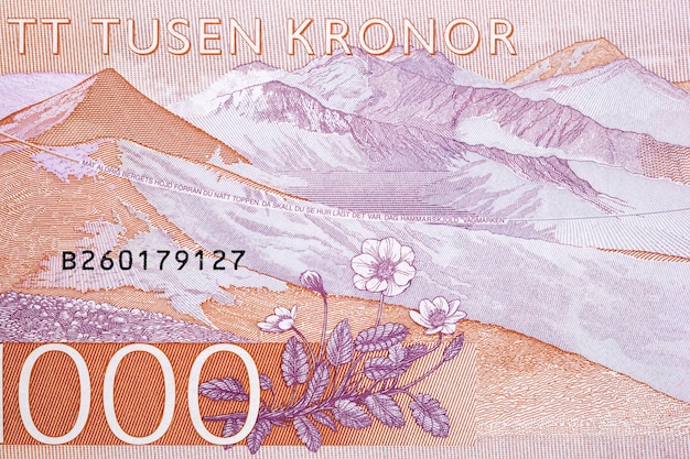 Mountain range from Swedish money