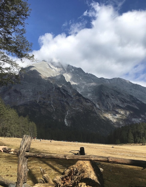 A mountain range is seen behind a field with a log in the foreground.