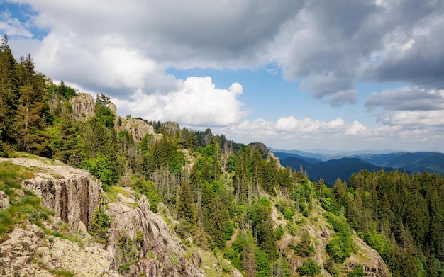 Mountain range of Rhodope Mountains covered with vegetation against the backdrop of valley covered with spruce forests