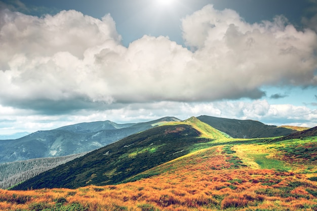 Mountain range  in summer