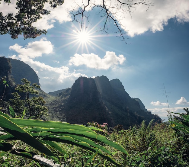 Mountain range in tropical rainforest with sunshine at Wildlife sanctuary