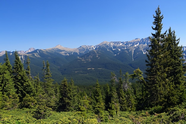 a mountain range with a clear blue sky