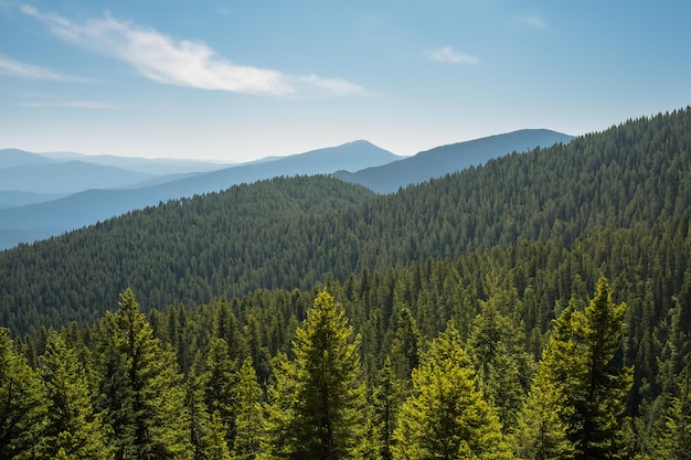 a mountain range with a forest of trees and mountains in the background