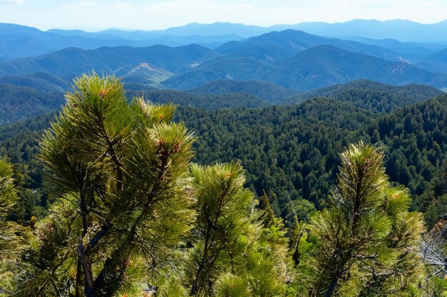 a mountain range with a mountain range in the background