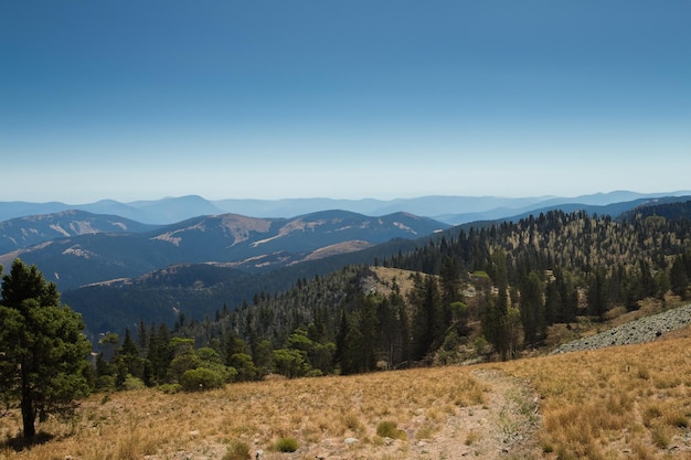 a mountain range with trees and mountains in the background