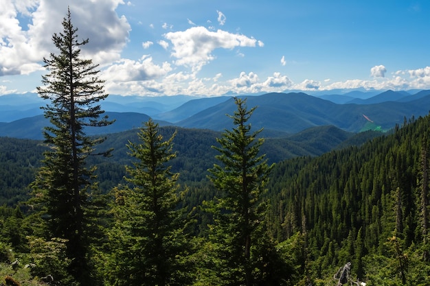 a mountain range with trees and mountains in the background