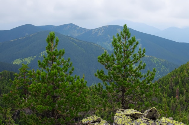 a mountain range with trees and mountains in the background