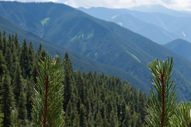 a mountain range with a view of mountains and trees