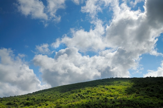 Mountain ranges covered with forest and bushes