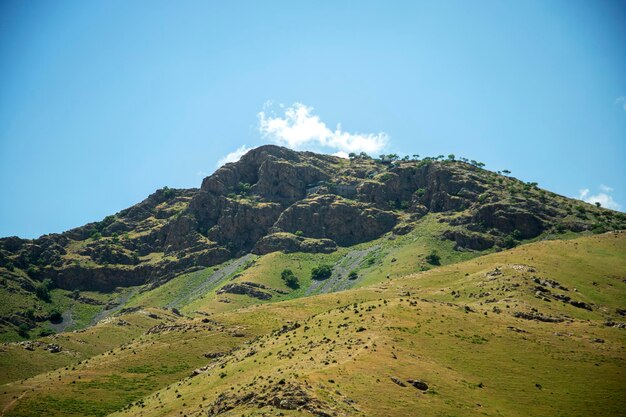 Mountain ranges and meadows with greenery