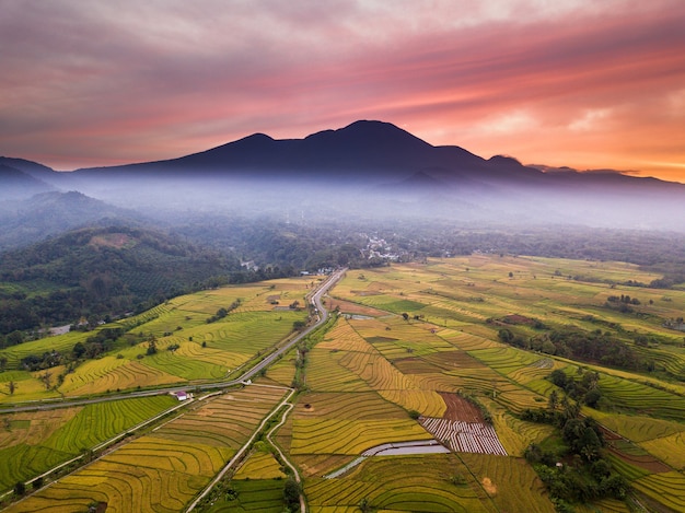 Mountain ranges and rice fields in the morning