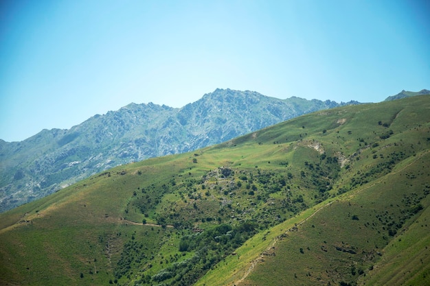 Mountain ranges in summer season