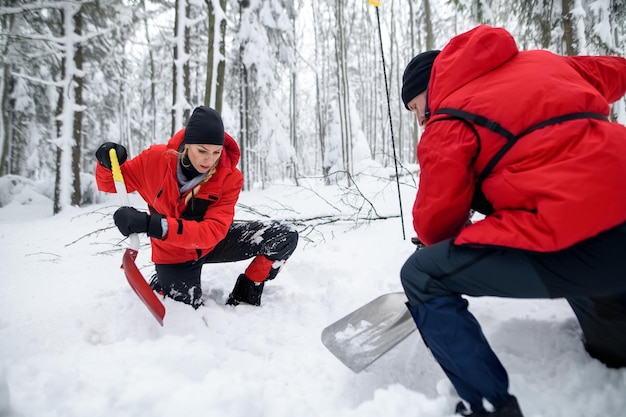 Mountain rescue service on operation outdoors in winter in forest, digging snow with shovels. Avalanche concept.